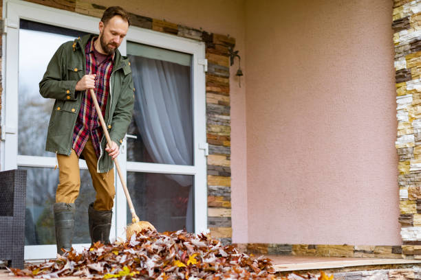 Best Junk Hauling Services  in Bellerose, NY